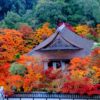 紅葉の南禅寺